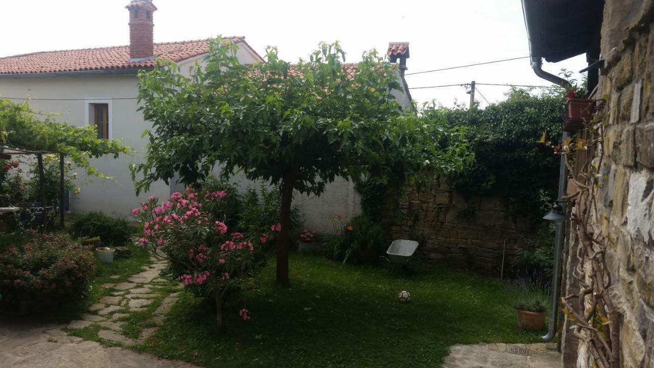 Labor Istrska Hiska Villa Marezige Exterior photo